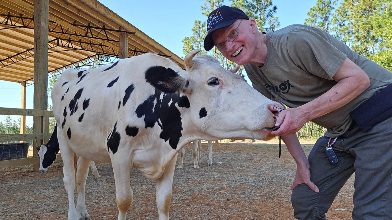 veganrise1.com | Vegan Rise - Inspiring the next great social ...